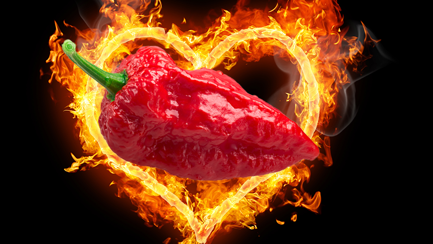 HOT SAUCE